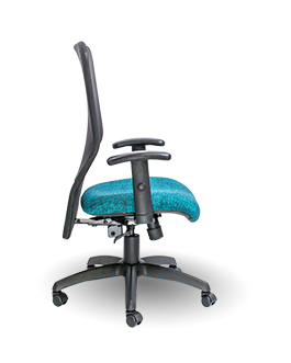 Lisa Executive Range